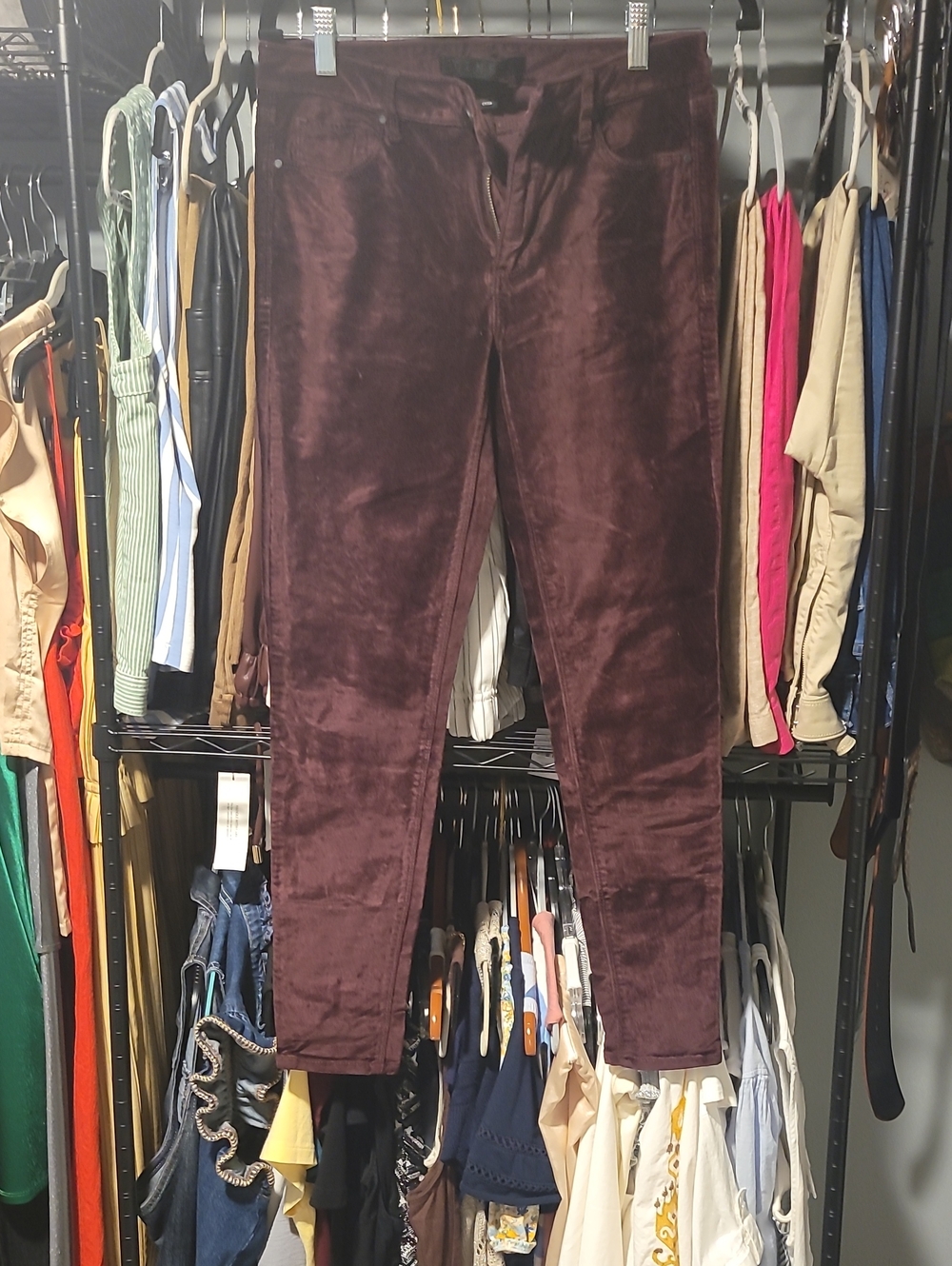 Tinsel Women's Skinny Velvet Pants in Deep Wine